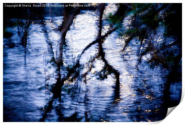  Mangrove reflection Print by Sheila Smart