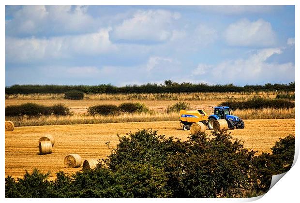  Making Hay Print by Sarah Barratt