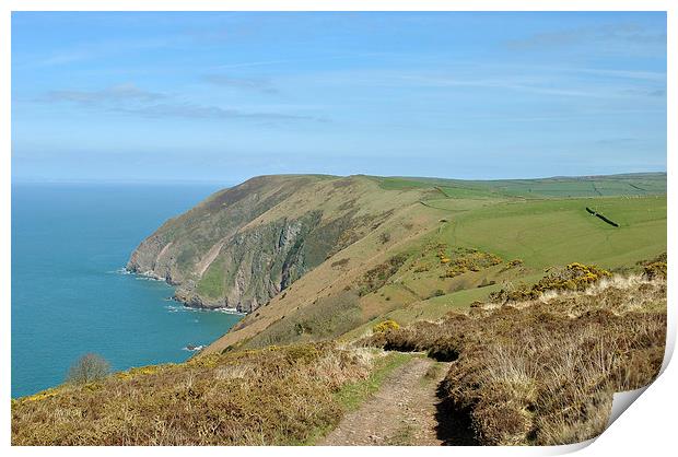 The Exmoor Coast  Print by graham young