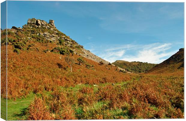 Autumn in The Valley of Rocks  Canvas Print by graham young