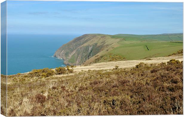 The Exmoor Coast  Canvas Print by graham young