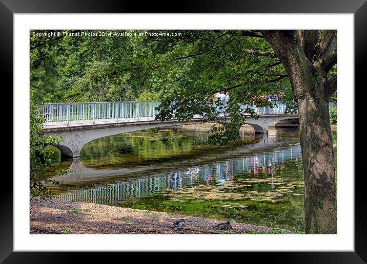  The Blue bridge, St James Park London Framed Mounted Print by Thanet Photos