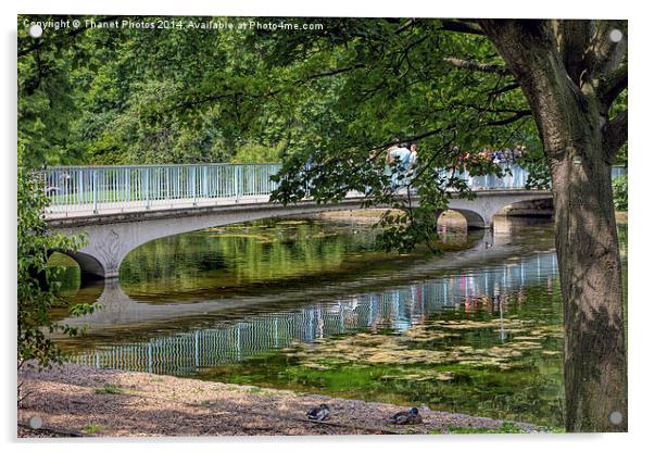  The Blue bridge, St James Park London Acrylic by Thanet Photos