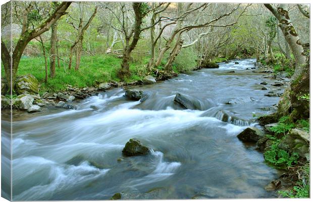 The River Heddon  Canvas Print by graham young
