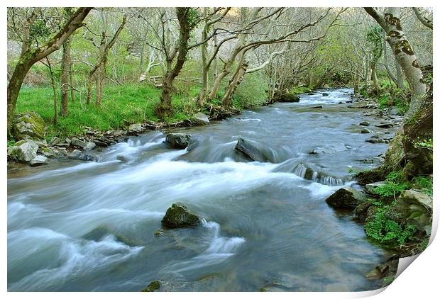 The River Heddon  Print by graham young