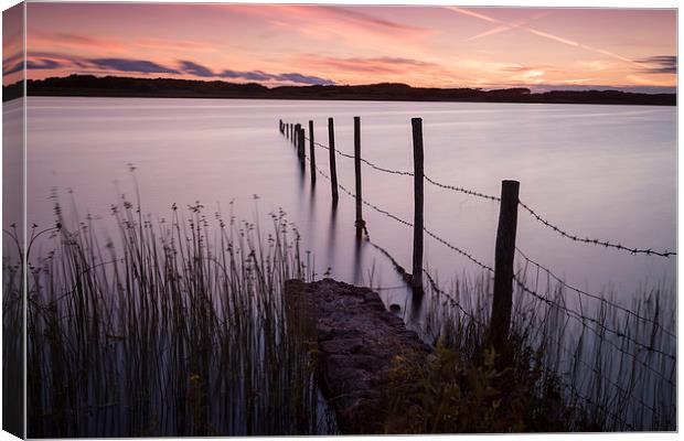  Kenfig Pool posts Canvas Print by Leighton Collins