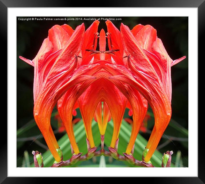  Red,red flower Framed Mounted Print by Paula Palmer canvas