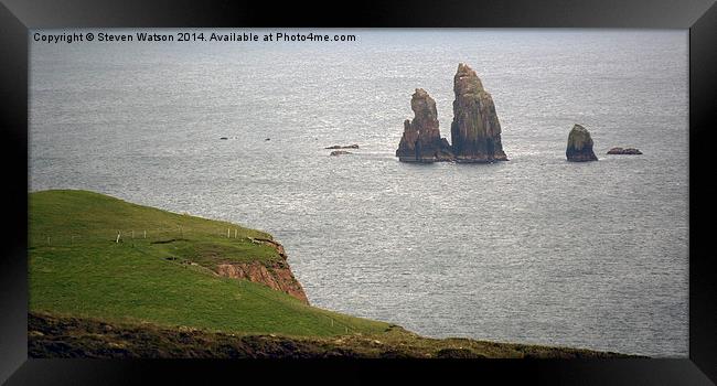  The Drongs Framed Print by Steven Watson