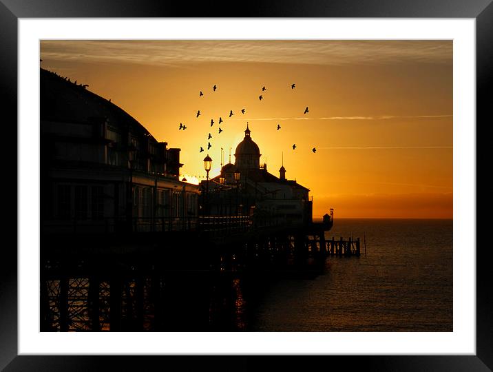  Birds flying over a Eastbourne pier sunrise, East Framed Mounted Print by Matthew Silver