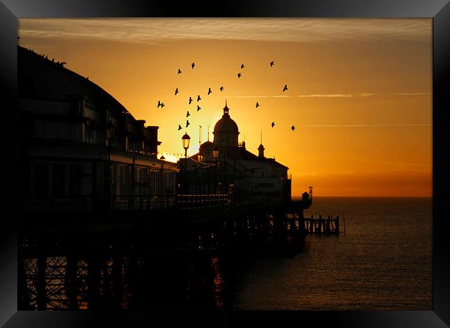  Birds flying over a Eastbourne pier sunrise, East Framed Print by Matthew Silver