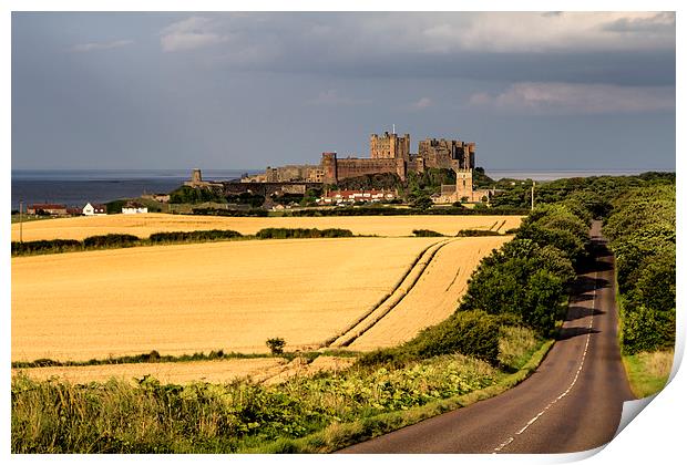  Bamburgh Castle Fields of Gold Print by Northeast Images