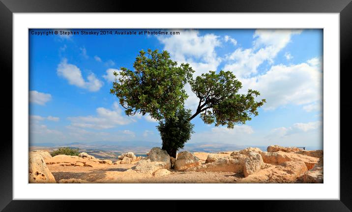  Peace Tree Framed Mounted Print by Stephen Stookey