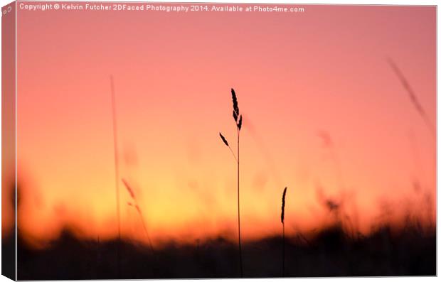  Tall Grass Sunset Canvas Print by Kelvin Futcher 2D Photography