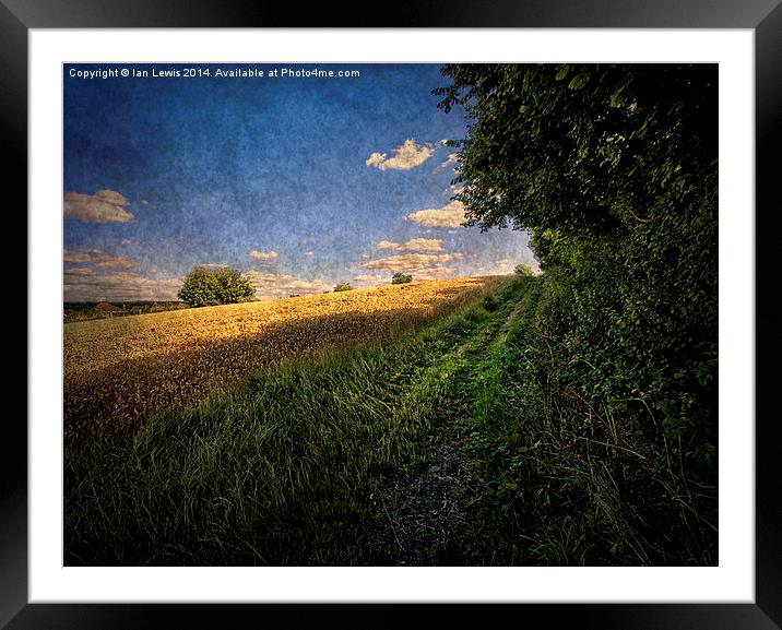 Path By The Field Framed Mounted Print by Ian Lewis