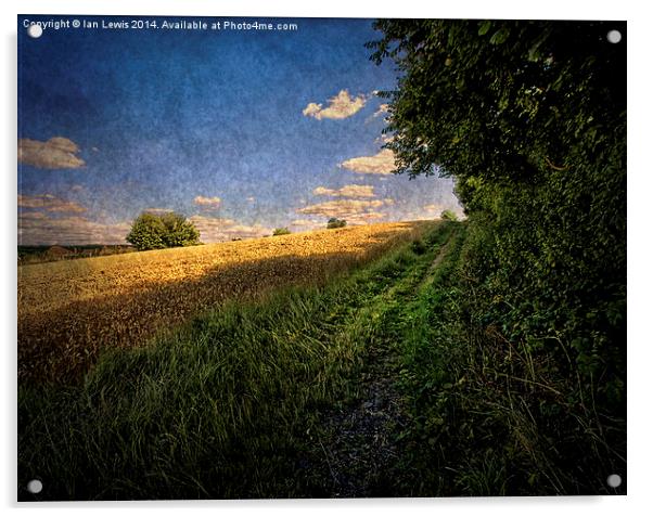  Path By The Field Acrylic by Ian Lewis