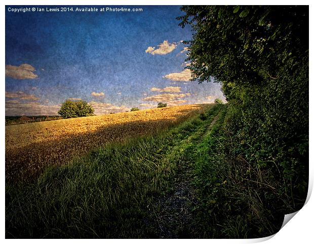 Path By The Field Print by Ian Lewis