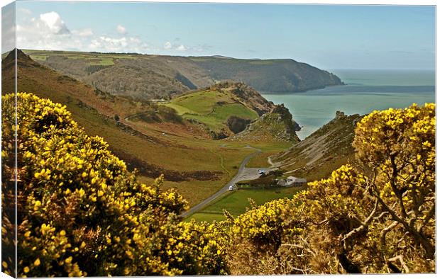 The Valley of Rocks  Canvas Print by graham young