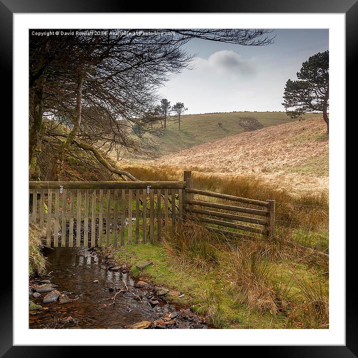 Free to Wander Framed Mounted Print by Dave Rowlatt