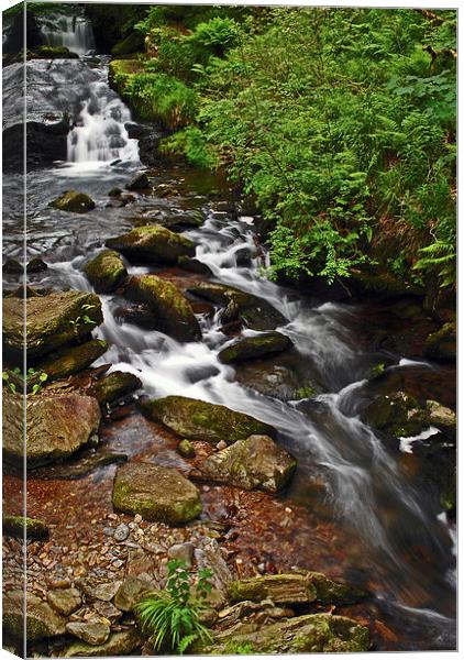 Watersmeet Falls  Canvas Print by graham young