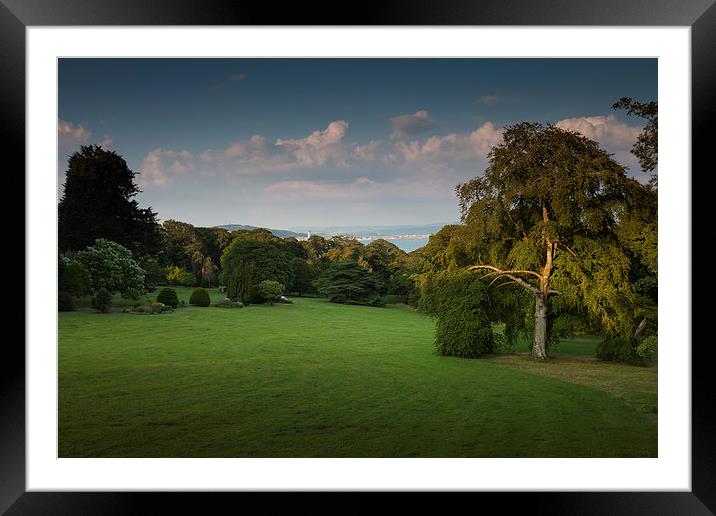  Clyne Valley country park Framed Mounted Print by Leighton Collins