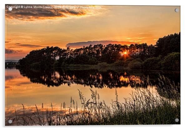  Summer Sunset Over Gladhouse Reservoir Acrylic by Lynne Morris (Lswpp)