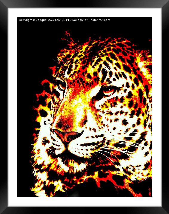  LEOPARD IN THE DARK Framed Mounted Print by Jacque Mckenzie