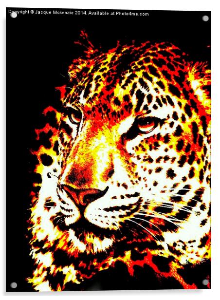  LEOPARD IN THE DARK Acrylic by Jacque Mckenzie