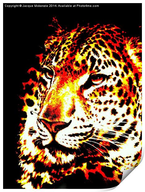  LEOPARD IN THE DARK Print by Jacque Mckenzie