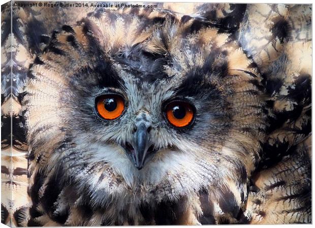   European Eagle Owl Canvas Print by Roger Butler