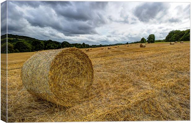  Hay Bales Canvas Print by Dean Messenger