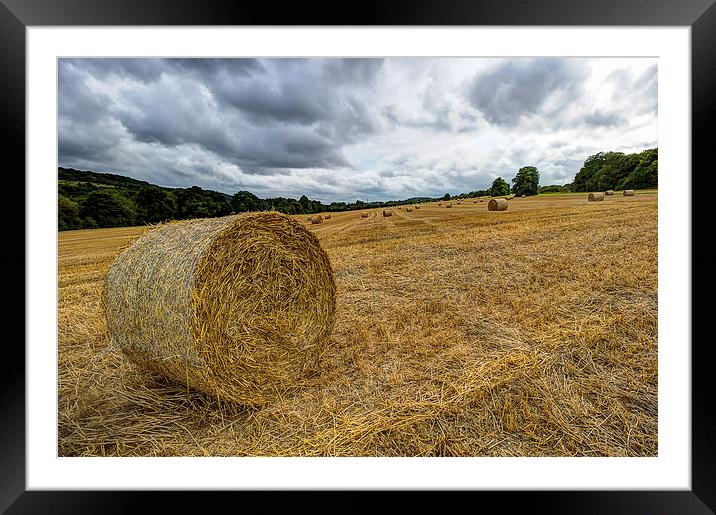  Hay Bales Framed Mounted Print by Dean Messenger