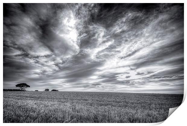 Clouds Above Print by Ray Abrahams