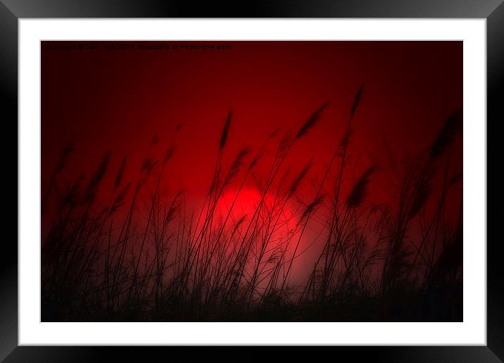 Silhouettes at Sunset  Framed Mounted Print by Tom York