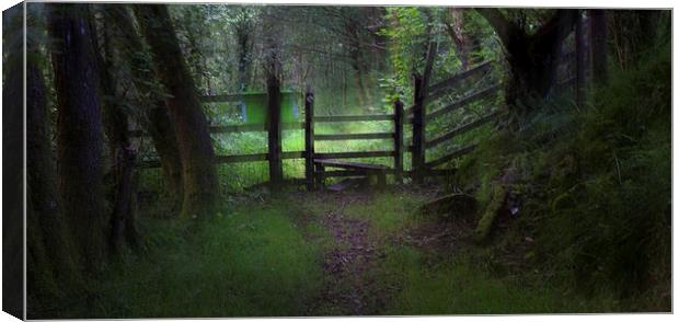  Woodland path and stile Canvas Print by Leighton Collins