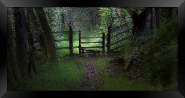  Woodland path and stile Framed Print by Leighton Collins