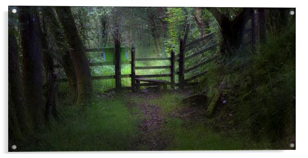  Woodland path and stile Acrylic by Leighton Collins