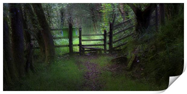  Woodland path and stile Print by Leighton Collins