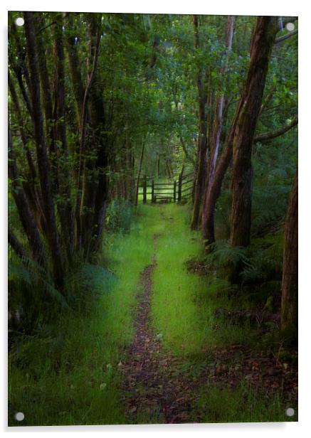  Woodland path and stile Acrylic by Leighton Collins
