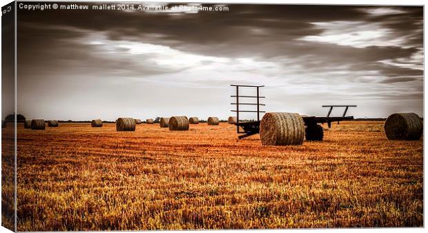  The Harvest is now complete Canvas Print by matthew  mallett