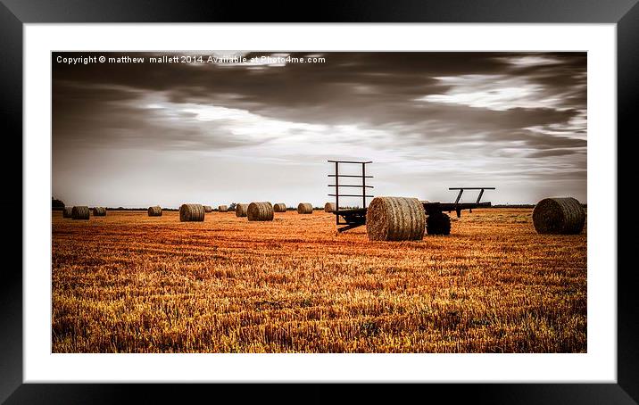  The Harvest is now complete Framed Mounted Print by matthew  mallett