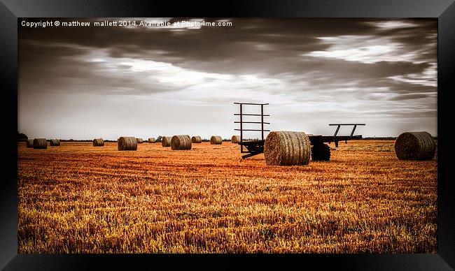  The Harvest is now complete Framed Print by matthew  mallett
