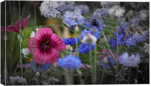  Roadside flower display in Swansea Canvas Print by Leighton Collins