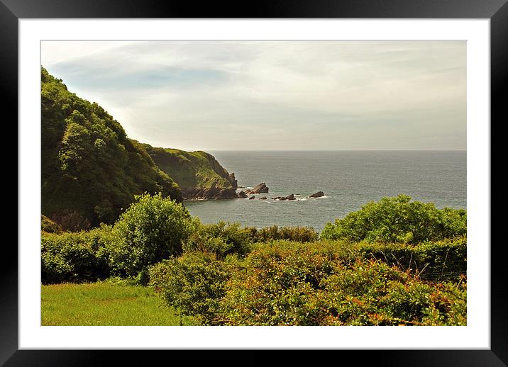 The Exmoor Coast  Framed Mounted Print by graham young