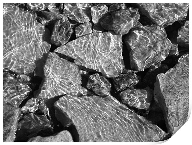 Sun Dappled Rock in Water Print by Donna-Marie Parsons