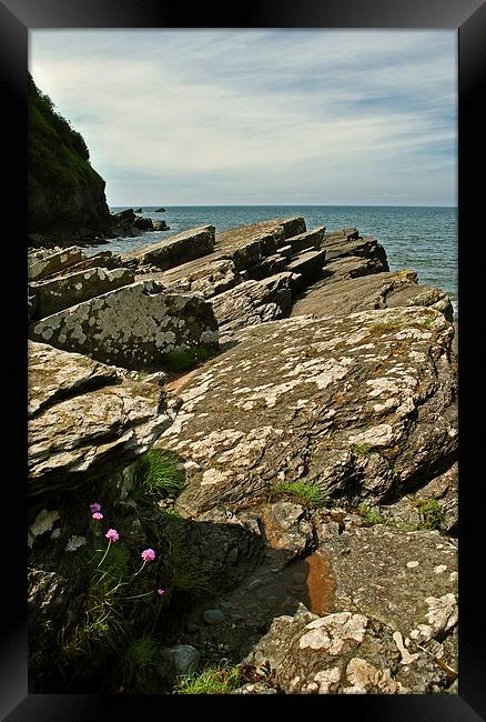 Lee Bay  Framed Print by graham young