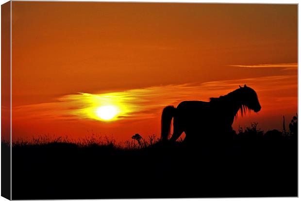 The End of the Day  Canvas Print by graham young