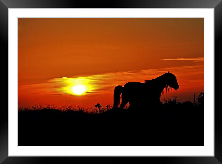 The End of the Day  Framed Mounted Print by graham young