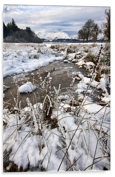 Frozen Stream At Derwentwater Acrylic by Gary Kenyon