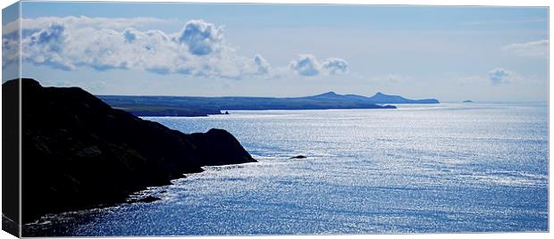  From Penbwchdy to St Davids Head Canvas Print by Barrie Foster