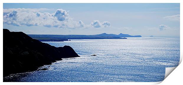  From Penbwchdy to St Davids Head Print by Barrie Foster